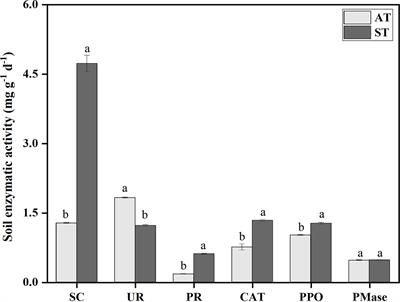 Soil metagenomic analysis on changes of functional genes and microorganisms involved in nitrogen-cycle processes of acidified tea soils